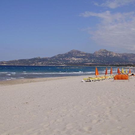 Appartement F1 Calvi A 150 Metres De La Plage Ngoại thất bức ảnh