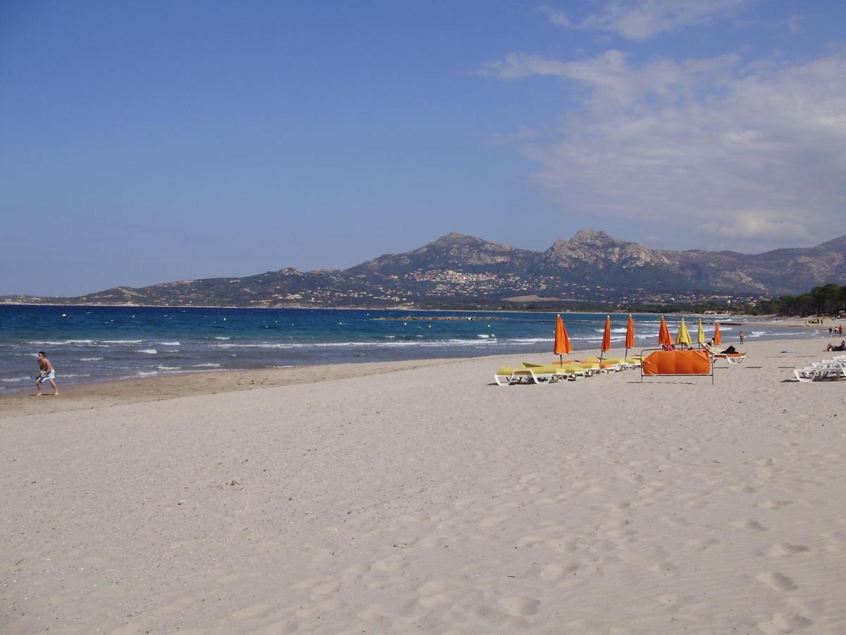 Appartement F1 Calvi A 150 Metres De La Plage Ngoại thất bức ảnh