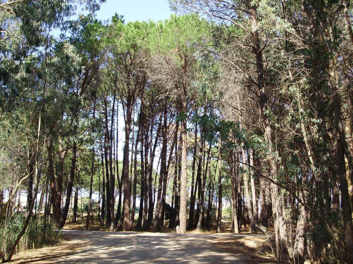 Appartement F1 Calvi A 150 Metres De La Plage Ngoại thất bức ảnh