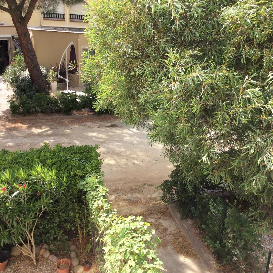 Appartement F1 Calvi A 150 Metres De La Plage Ngoại thất bức ảnh